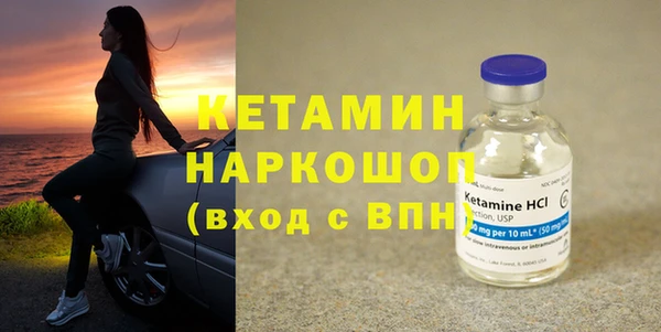 сатива Козловка