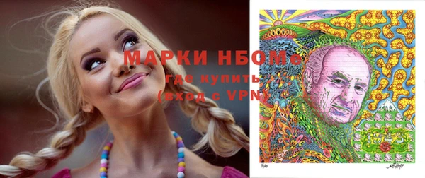 сатива Козловка