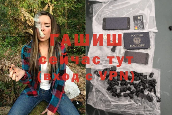 сатива Козловка
