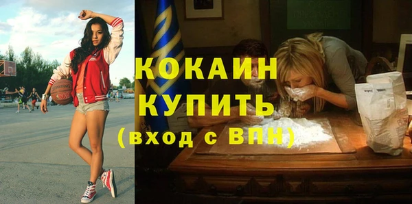 сатива Козловка