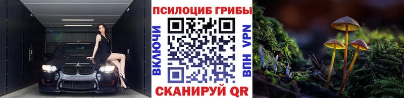 Псилоцибиновые грибы мухоморы  Купить где  Высоцк 