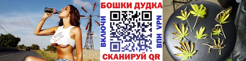 Купить  Высоцк  Конопля Amnesia 